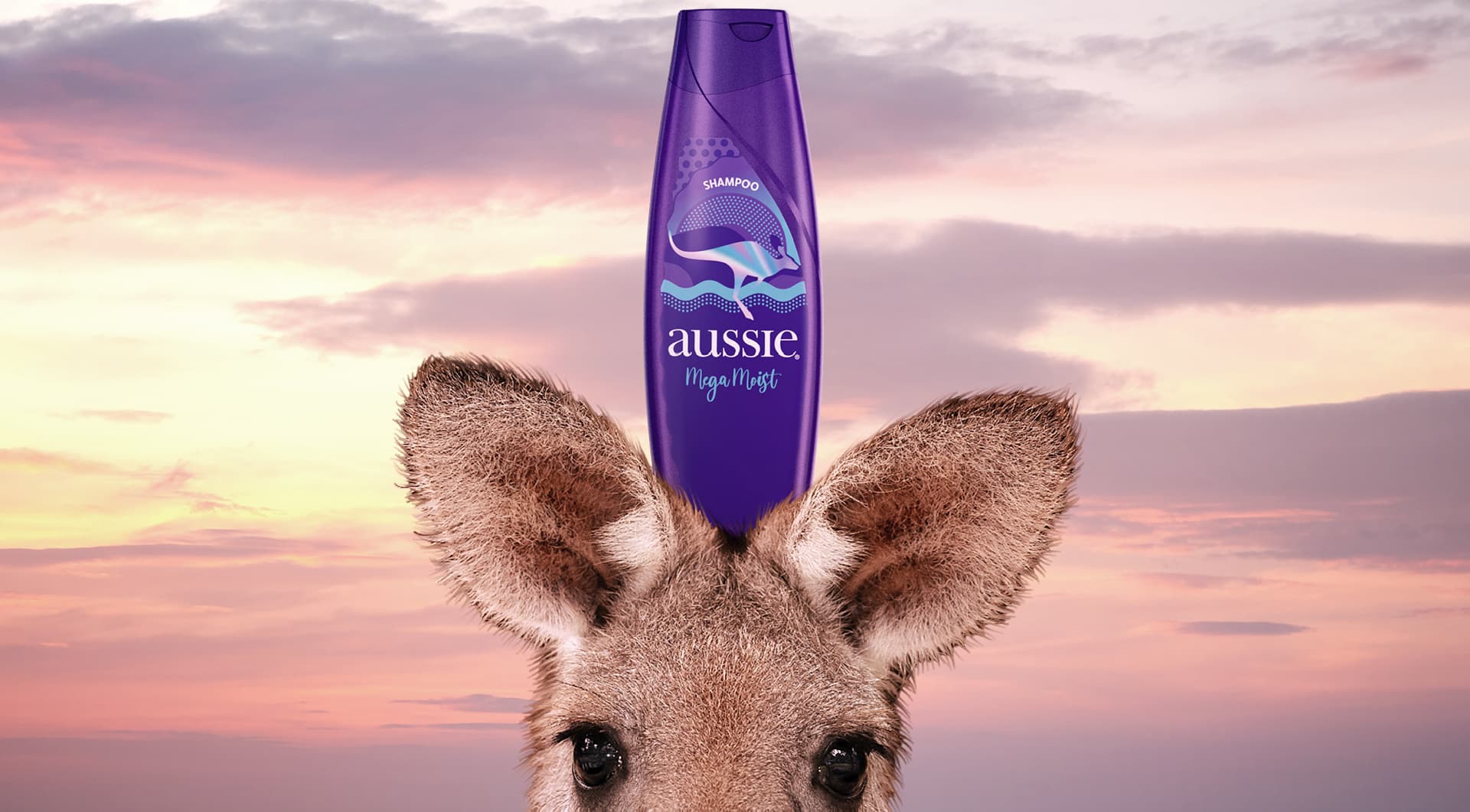 Envase de shampoo Aussie Mega Moist con orejas de canguro asomando detrás, contra el cielo del atardecer.